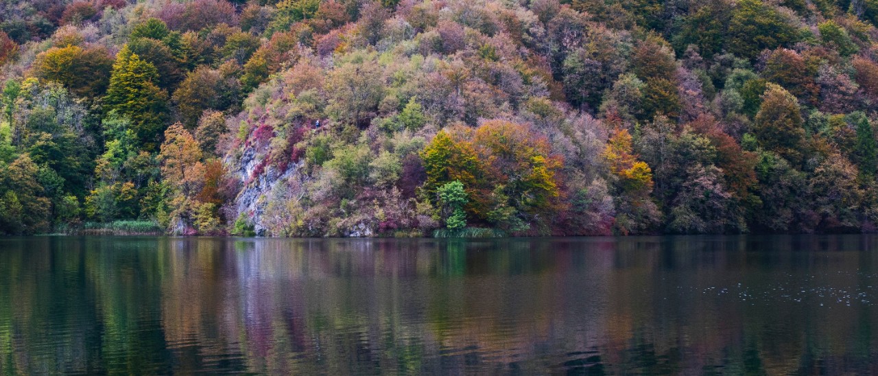 RIT davide-cantelli-148304-unsplash.jpg